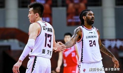 辽宁男篮有外援都有谁了