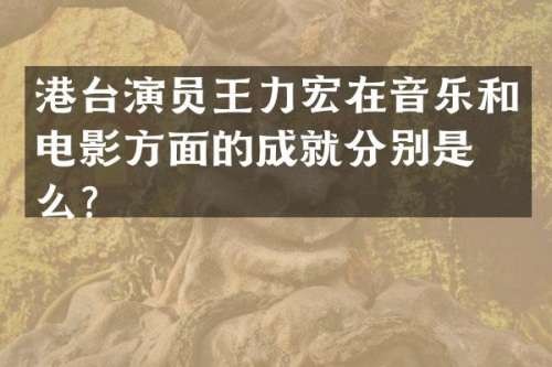 港台演员王力宏在音乐和电影方面的成就分别是什么？