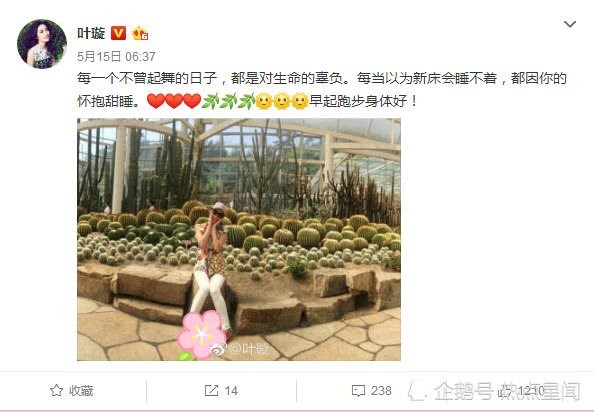 38 岁叶璇自曝已怀孕怎么回事?叶璇会和男友小默先生结婚吗