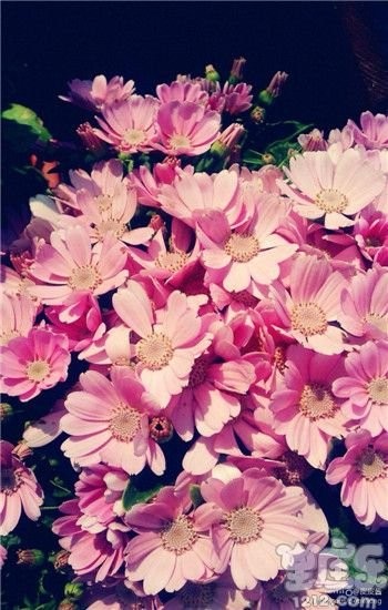 吴亦凡的星座和血型