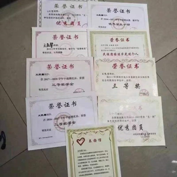 王凯馨在大学获得的荣誉证书。受访者供图