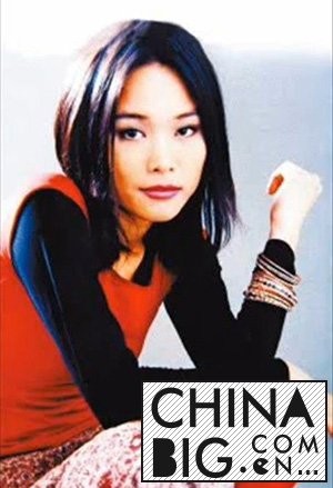 许美静和陈佳明的故事 许美静的三角恋感情史揭秘(3)