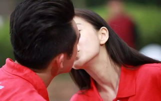 郑恺对于杨颖的感情