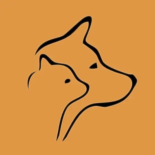 林更新+张若昀=邻居家的两条傻狗?真相了!