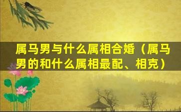 属马男与什么属相合婚(属马男的和什么属相最配、相克)