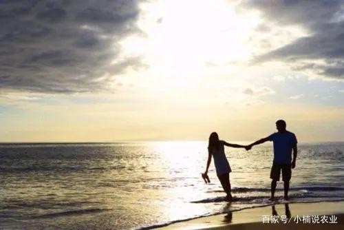 女明星“脸跨”的问题!同样是素颜,42岁袁泉比48岁吴越还显老?