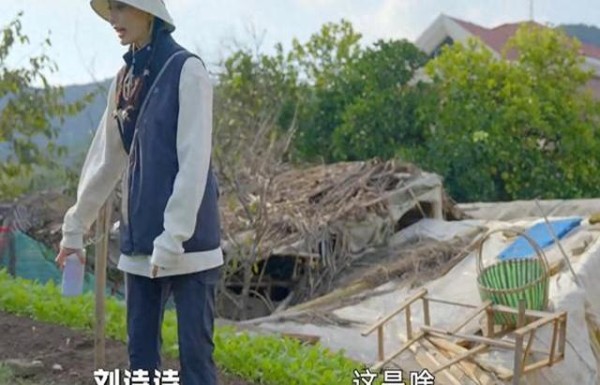 谁能想到,轻视综艺的刘诗诗,竟然通过真人秀为婚姻正名