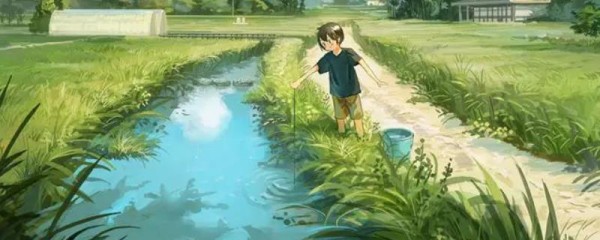 插画师能干一辈子吗，只要有实力并保持与时俱进便不会被淘汰