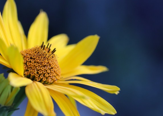 婚姻家庭关系复杂吗 如何处理好家庭关系