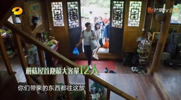 观众想看明星假装职场人?“慢”综艺不能乱了方寸