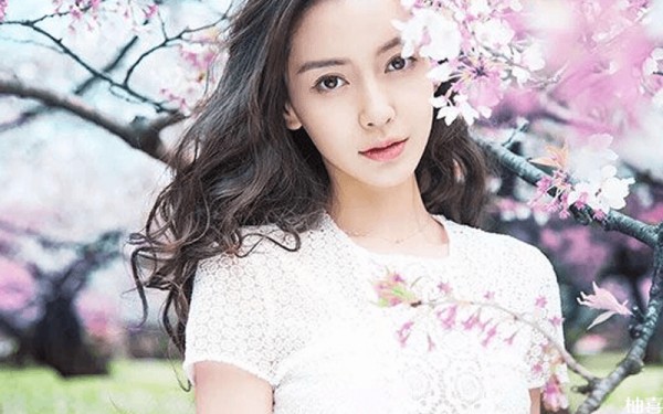 杨颖是中印混血明星