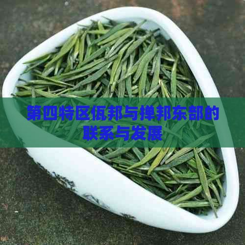 第四特区佤邦与掸邦东部的联系与发展