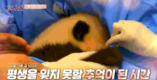 BLACKPINK与大熊猫亲密接触引发争议与关注