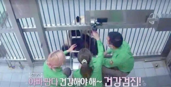 韩国综艺熊猫事件及其背后的影响与争议