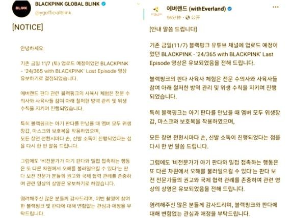 韩国综艺艺人违规接触熊猫幼崽引风波与“福宝”的诞生故事