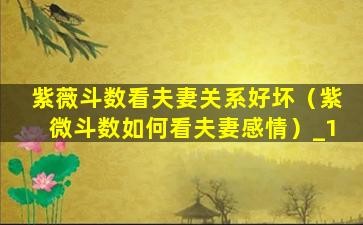 紫薇斗数看夫妻关系好坏（紫微斗数如何看夫妻感情）