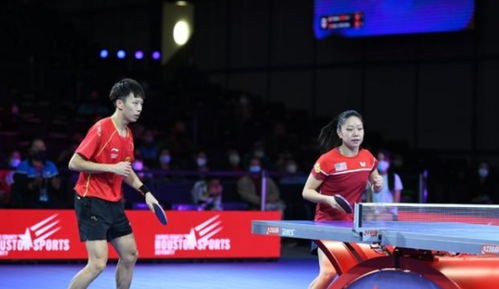 樊振东王曼昱私下关系