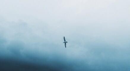 霸气！于正揭秘娱乐圈套路：男演员有庞大粉丝保护伞