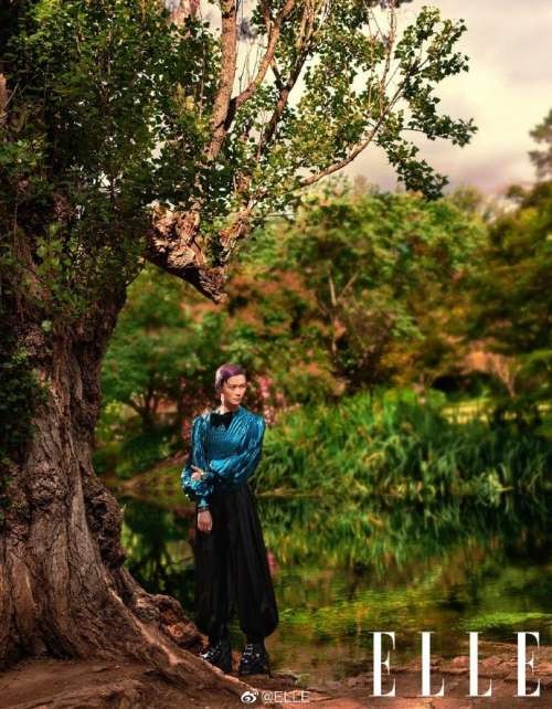 四川图片 女明星李宇春《ELLE》8月刊封面图