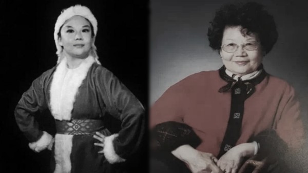 Thumbplayer Poster Plugin Image