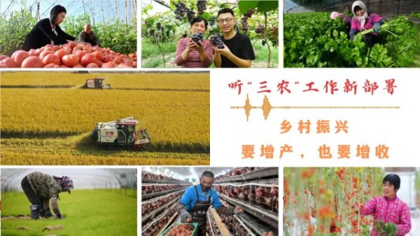 Thumbplayer Poster Plugin Image