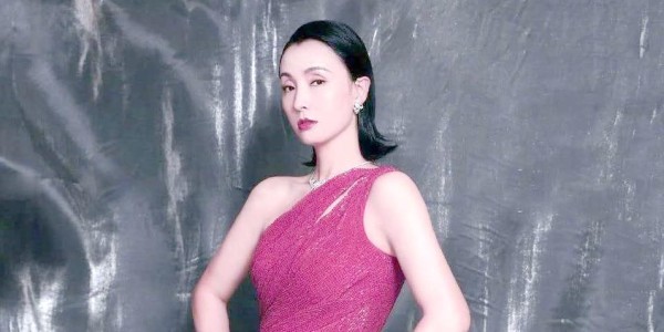 陶虹与徐峥:荧屏背后的故事与婚姻启示