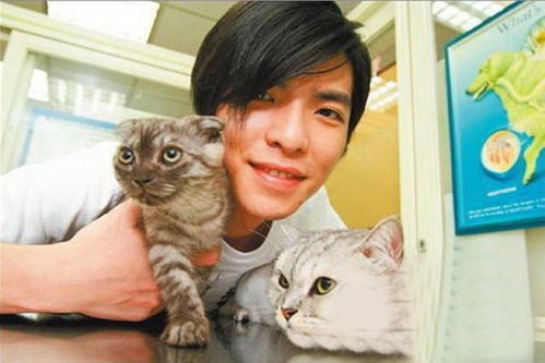 猫咪是哪个明星韩国？李钟硕的宠物？