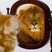 著名香港明星张敏来到...