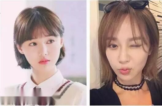 郑爽杨紫怎么认识的关系好吗 杨紫对郑爽的评价好高