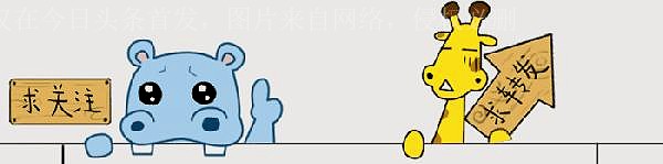 “绯闻制造机”李菲儿上位史,和她背后的9个绯闻男友