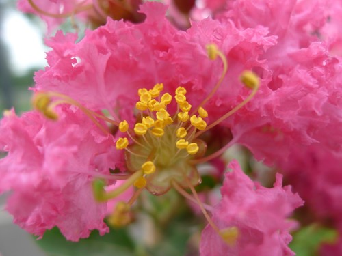 DC旗舰画质飙升 超大光圈松下LX5评测 