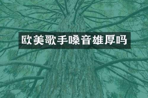 欧美歌手嗓音雄厚吗