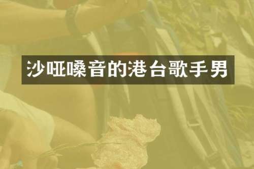 沙哑嗓音的港台歌手男