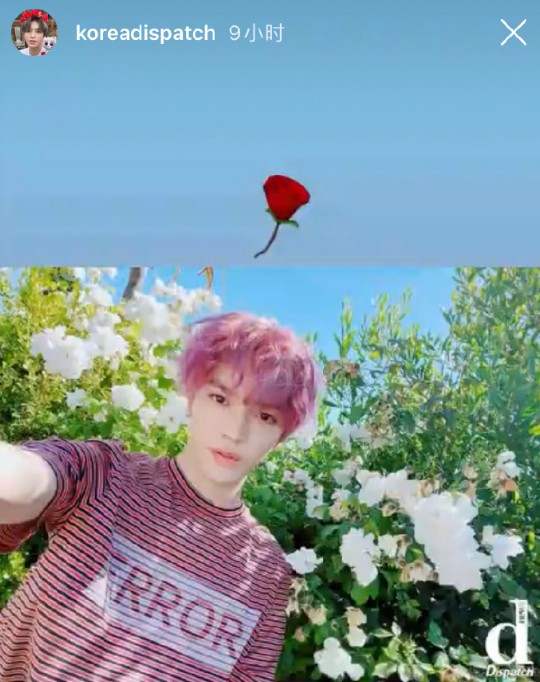 D社今年为何不爆料?可能在忙着追星,D社与李泰容的爱是双向的