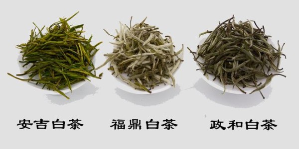 茶文化之新白茶与老白茶有什么区别?