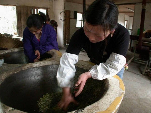 老白茶是乌龙茶吗？一文解答老白茶与乌龙茶之间的关系