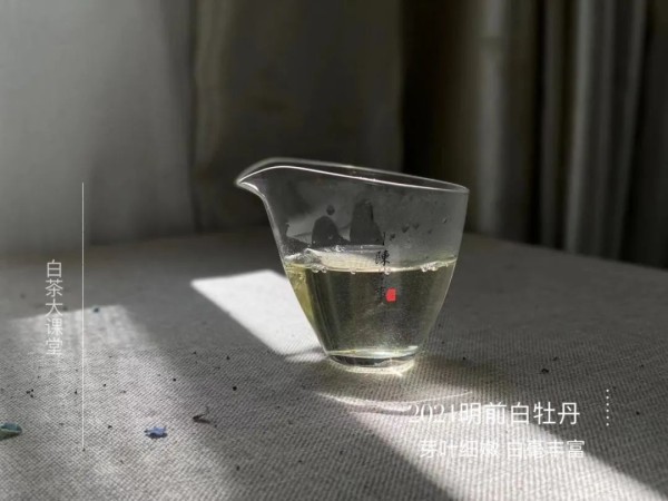 新白茶寒凉像绿茶，老白茶喝起来则像红茶？这种说法有道理吗？