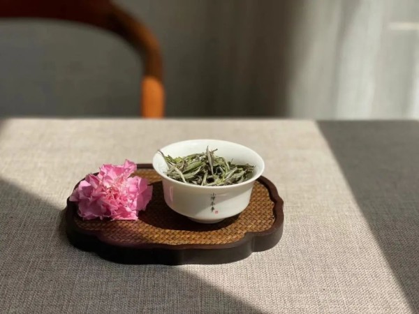 新白茶寒凉像绿茶，老白茶喝起来则像红茶？这种说法有道理吗？