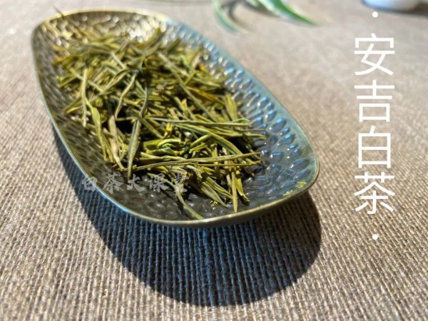 新白茶寒凉像绿茶，老白茶喝起来则像红茶？这种说法有道理吗？