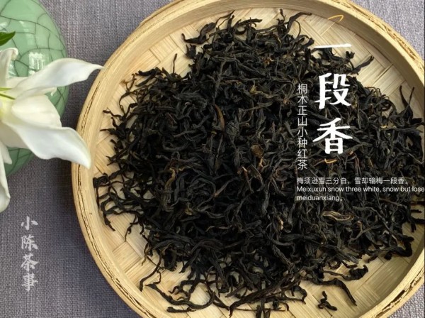 新白茶寒凉像绿茶，老白茶喝起来则像红茶？这种说法有道理吗？