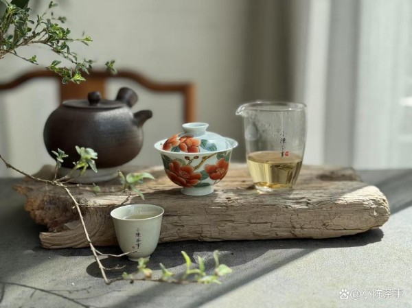 老白茶到底有什么好?越卖越贵,为什么还有人愿意买?3点说清楚