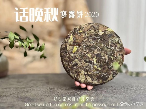 什么样的人喜欢喝做旧老白茶?看完村姑陈的解说,令人唏嘘不已!