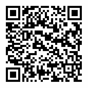 【心·导师】杨谨