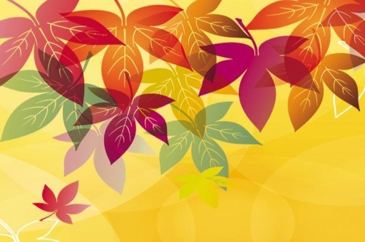 泰国一线明星排行榜2025近期排名前十名盘点