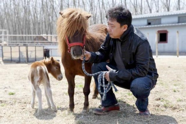 德云社元老走了那么多，为什么就于谦没和郭德纲闹过矛盾？