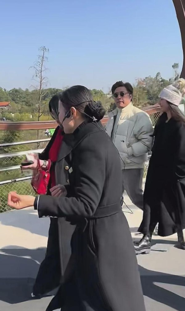 李湘和王岳伦复婚了吗?