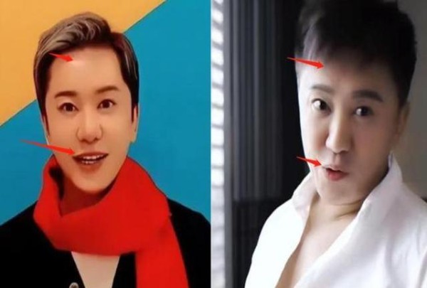 毛宁现状唏嘘:56岁面容僵硬跑商演,曾红极一时今落魄单身