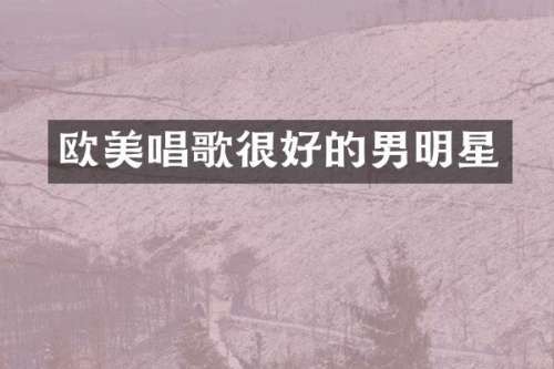 欧美唱歌很好的男明星