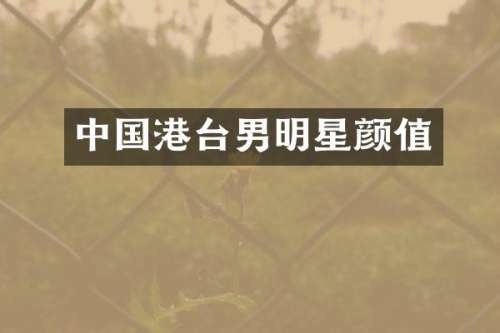 中国港台男明星颜值