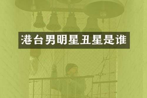 港台男明星丑星是谁